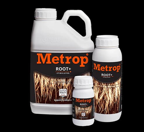 Blütendünger Metrop MR2: Formuliert für die perfekte Blütephase und einen üppigen Ertrag