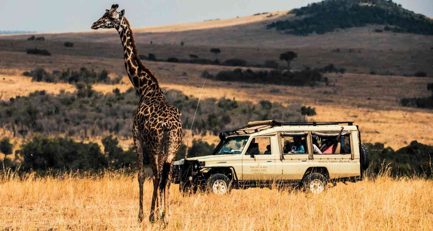 The Best of African Safaris: Wildlife and Culture