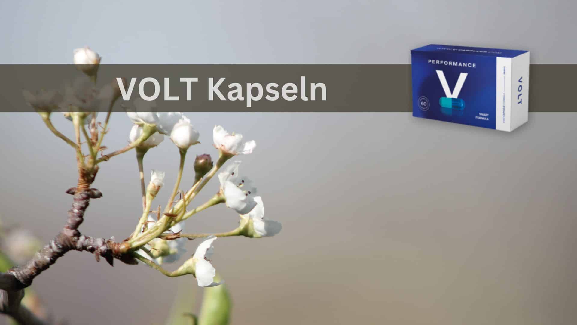 Volt: Die neue Generation von Kapseln für Männer