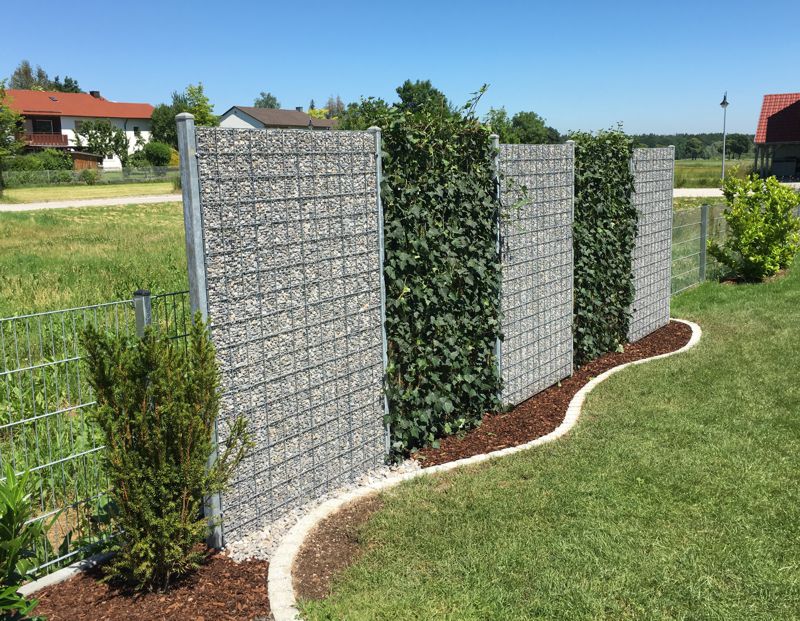 Spalierbäume: Kreative Lösungen für eine platzsparende Gartengestaltung