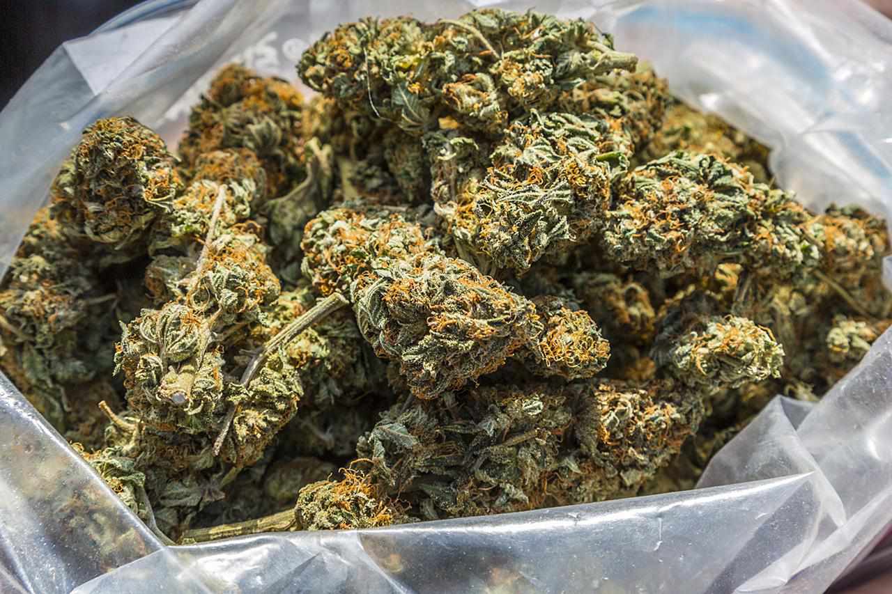 Die Entwicklung von Marihuanasamen in der Cannabis-Industrie