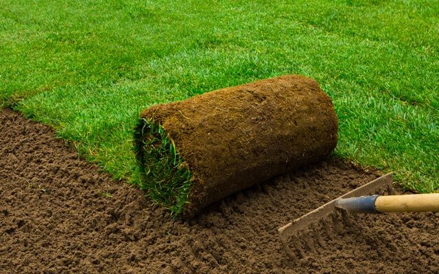 Natursteine kaufen: Ihren Garten mit Naturstein verschönern