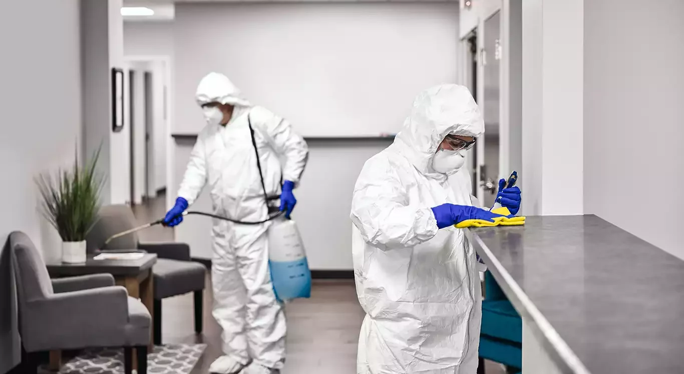 DISE Cleaning – Ihr erfahrener Partner für professionelle Reinigungsservices
